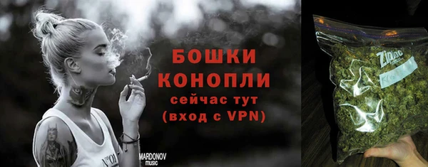 сатива Верхний Тагил