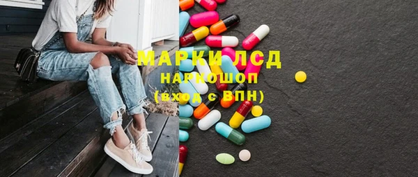 сатива Верхний Тагил