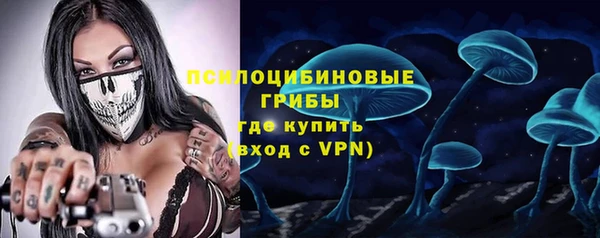 сатива Верхний Тагил