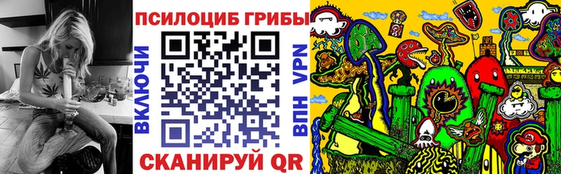 Галлюциногенные грибы Cubensis  закладка  Нальчик 